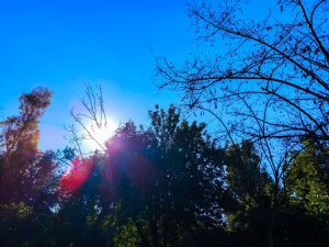 Καιρός: Υποχωρεί το ψύχος - Πού θα βρέξει