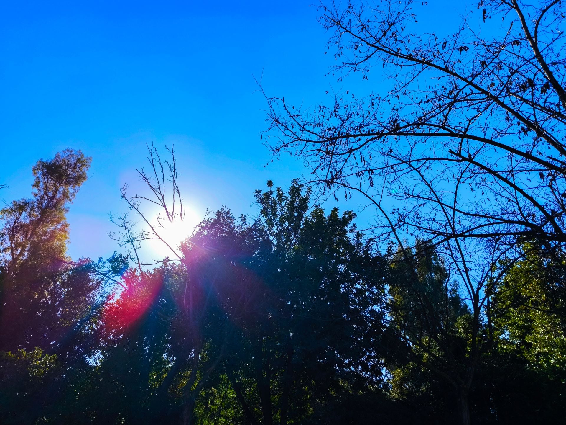 Καιρός: Υποχωρεί το ψύχος - Πού θα βρέξει