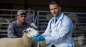 Π. Σταμόπουλος: Τα μέτρα για την ευλογιά απέτυχαν - Να δούμε σοβαρά το θέμα του εμβολίου • Έλληνας Αγρότης