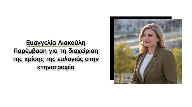 Λιακούλη: Όταν η ευλογιά αφανίζει την κτηνοτροφία και το κράτος επενδύει στην επικοινωνία