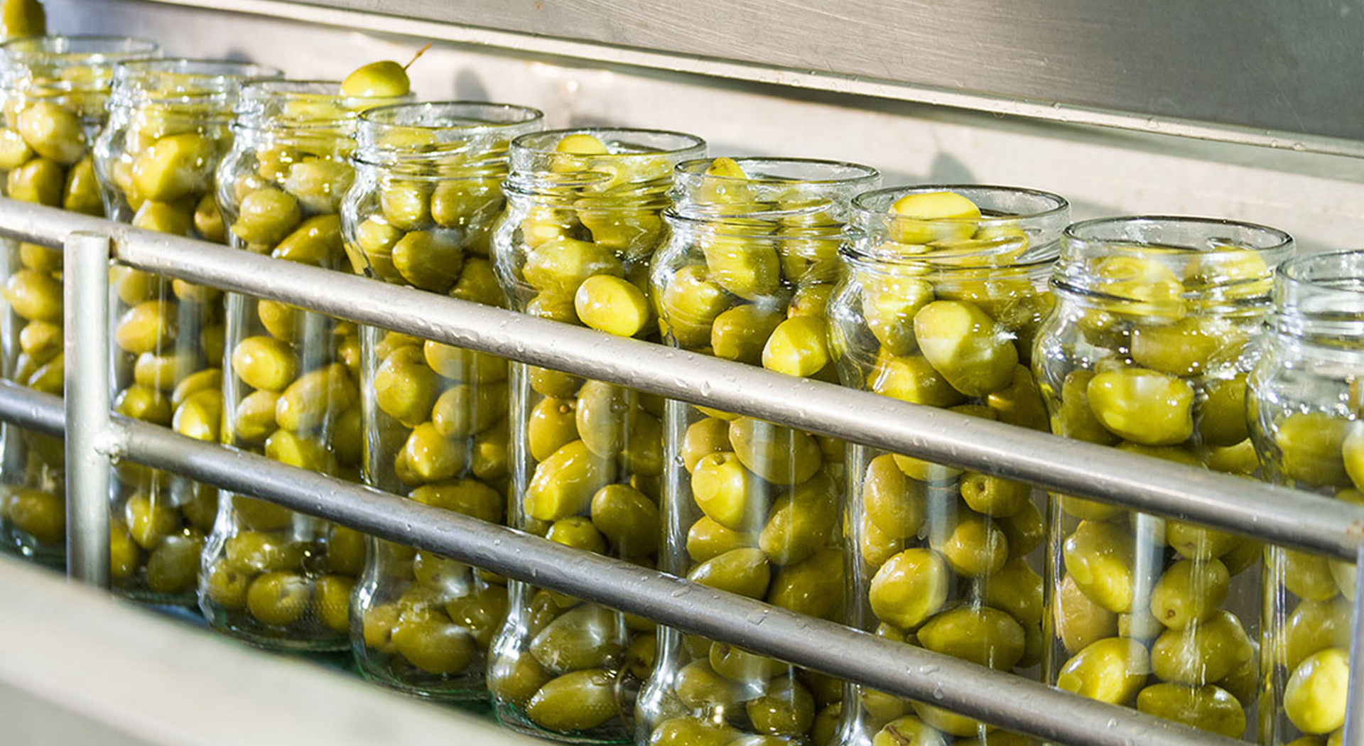 Έντονη αντίδραση από τη Διεπαγγελματική της Ελιάς στη συμφωνία ΕΕ - Mercosur • Έλληνας Αγρότης