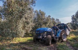 Το διχασμό καλλιεργεί η κυβερνητική τακτική στο αγροτικό, 8 μήνες απλήρωτοι υπό διαρκή έλεγχο οι Νέοι Αγρότες