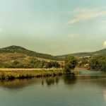 Νιτρορύπανση: Πως η Ιρλανδία πήρε τριετή παράταση από την Κομισιόν