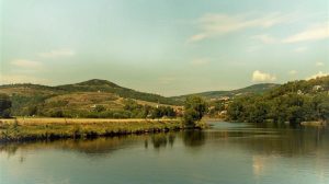 Νιτρορύπανση: Πως η Ιρλανδία πήρε τριετή παράταση από την Κομισιόν