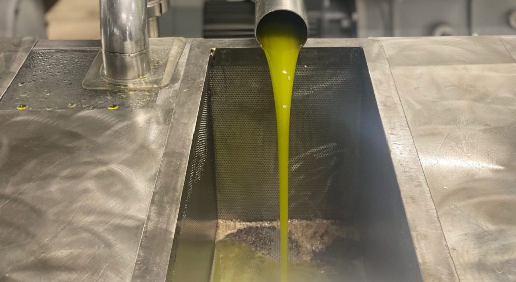 Γιατί έπεσαν οι τιμές του ελαιολάδου κατά την περίοδο 2024/25; • Έλληνας Αγρότης