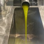 Γιατί έπεσαν οι τιμές του ελαιολάδου κατά την περίοδο 2024/25; • Έλληνας Αγρότης