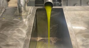 Γιατί έπεσαν οι τιμές του ελαιολάδου κατά την περίοδο 2024/25; • Έλληνας Αγρότης