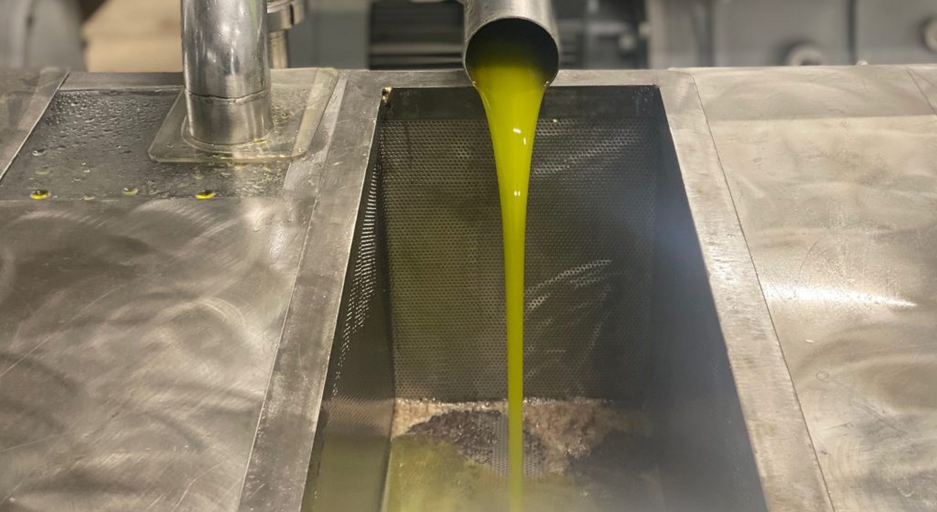 Γιατί έπεσαν οι τιμές του ελαιολάδου κατά την περίοδο 2024/25; • Έλληνας Αγρότης