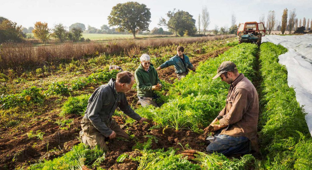 Συστάθηκε Τριμελής Επιτροπή για προσφυγές από Ομάδες Παραγωγών • Έλληνας Αγρότης