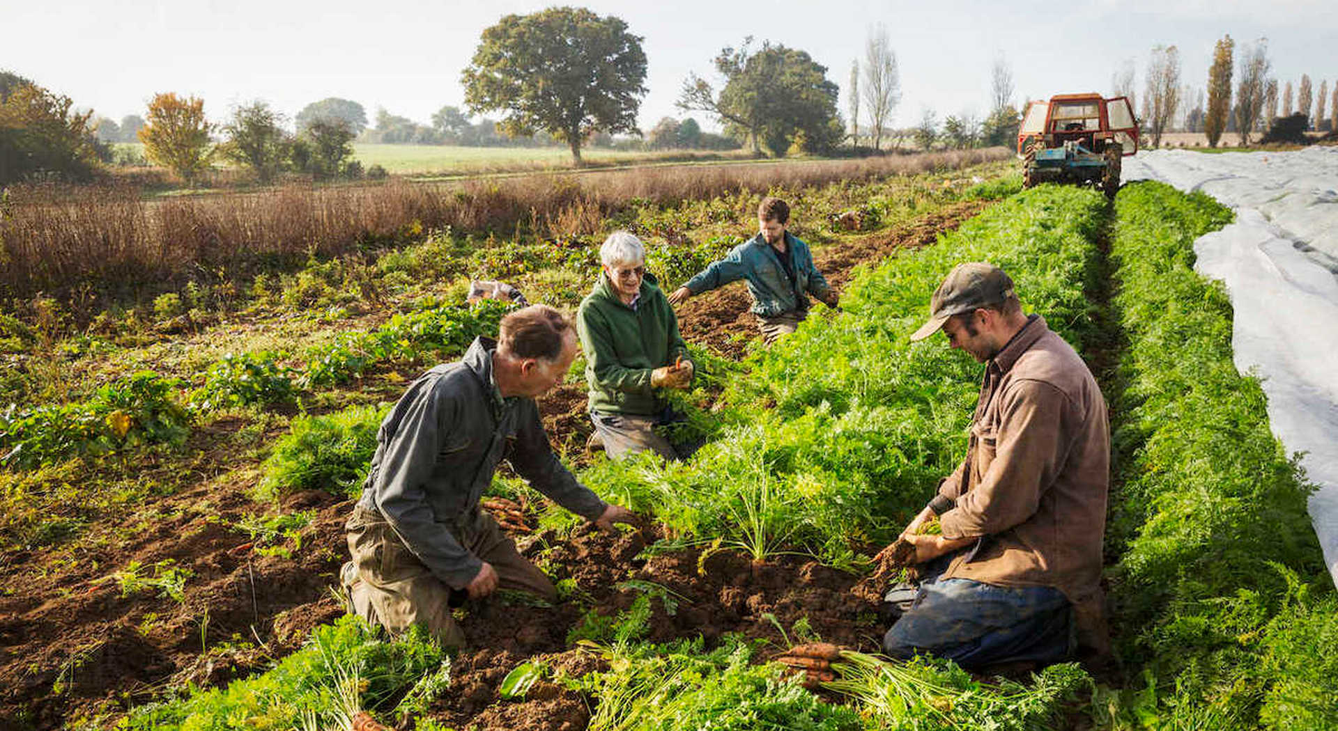 Συστάθηκε Τριμελής Επιτροπή για προσφυγές από Ομάδες Παραγωγών • Έλληνας Αγρότης