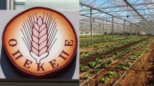 OΠΕΚΕΠΕ: Καταδίκη με μειωμένες ποινές για κατηγορούμενους που ζήτησαν ποινική διαπραγμάτευση μετά από επιστροφή χρημάτων