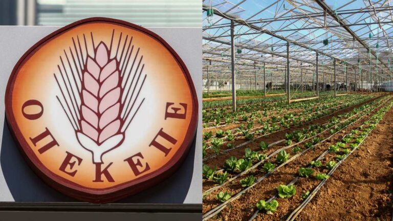 OΠΕΚΕΠΕ: Καταδίκη με μειωμένες ποινές για κατηγορούμενους που ζήτησαν ποινική διαπραγμάτευση μετά από επιστροφή χρημάτων