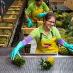 Στην Fresh Del Monte Produce οι επιχειρήσεις λαχανικών και κατεψυγμένων φρούτων της Del Monte Foods