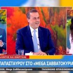 Παπασταύρου: Η Ελλάδα μπορεί να λειτουργήσει ως κόμβος ώστε να μεταφέρεται ηλεκτρική ενέργεια από τη Σαουδική Αραβία στην Ευρώπη
