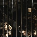 Θεσσαλονίκη: Πυρκαγιά σε μάντρα αυτοκινήτων – Ζημιές σε δύο οχήματα