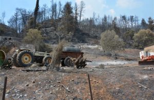 Σε ΦΕΚ η ΚΥΑ για κρατική αρωγή πυρόπληκτων αγροτών 2025
