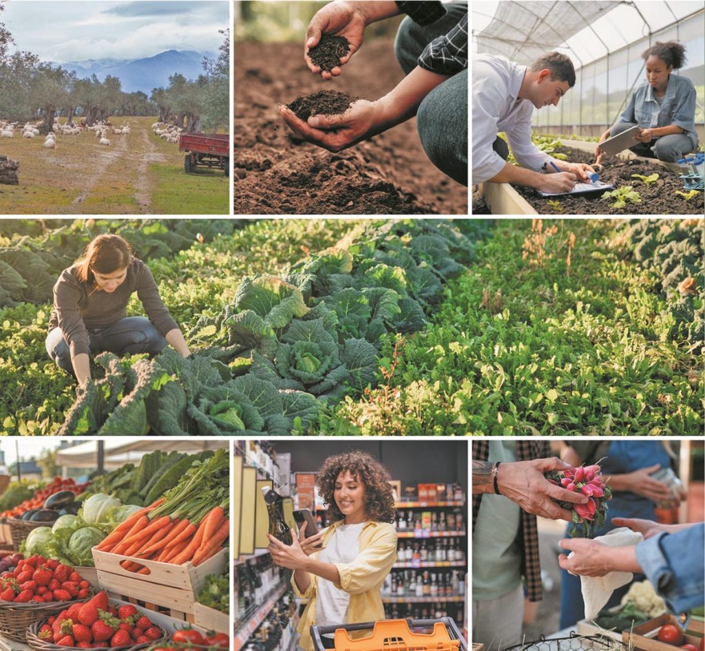 Στον δρόμο προς τη βιωσιμότητα μέσα από 12 ευρωπαϊκά έργα