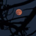 Σελήνη «κενή πορείας» 2026: Τι είναι και πώς επηρεάζει την καθημερινότητα