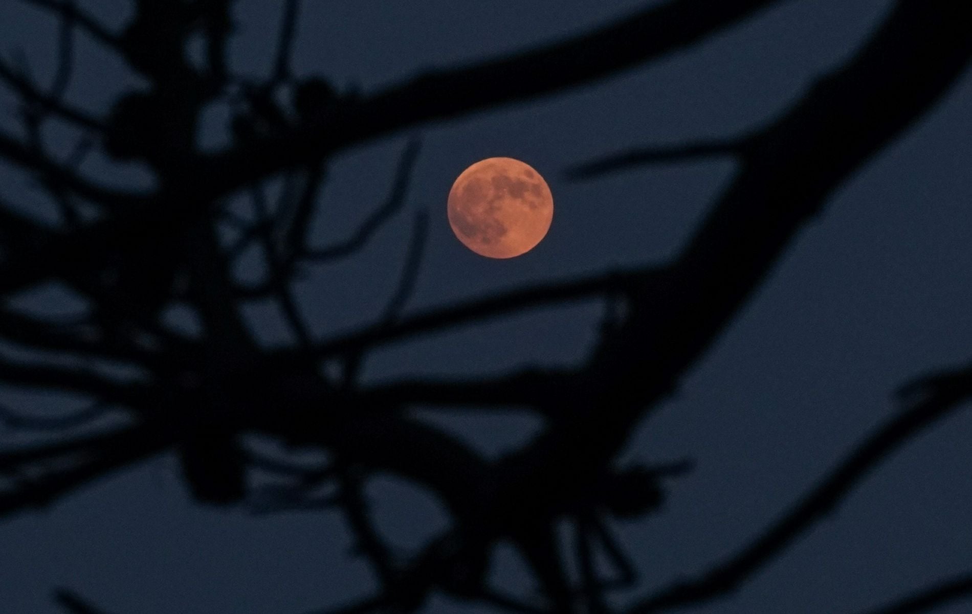 Σελήνη «κενή πορείας» 2026: Τι είναι και πώς επηρεάζει την καθημερινότητα