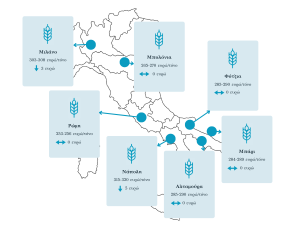 Σκληρό σιτάρι: Εύθραυστη ισορροπία και αντικρουόμενα σήματα από τις διεθνείς αγορές