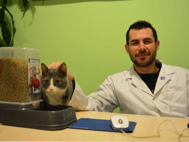 Ευλογιά: Ο πρόεδρος του Πανελληνίου Κτηνιατρικού Συλλόγου Θεσσαλίας, ζητάει άμεση αξιοποίηση των εμβολίων