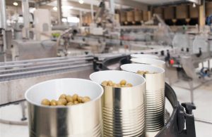 Ελαίας Καρπός