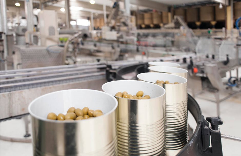 Ελαίας Καρπός