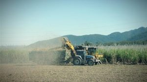 Ζάχαρη: Πώς η συμφωνία ΕΕ–Mercosur μεταφράζεται σε ποσοστώσεις και διύλιση