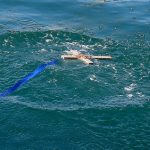 Γιατί αγιάζονται τα νερά στα Θεοφάνια