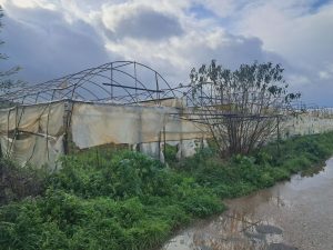 Ηλεία: Καταστροφές σε θερμοκήπια στο Γαννιτσοχώρι – Στήριξη ζητούν οι παραγωγοί