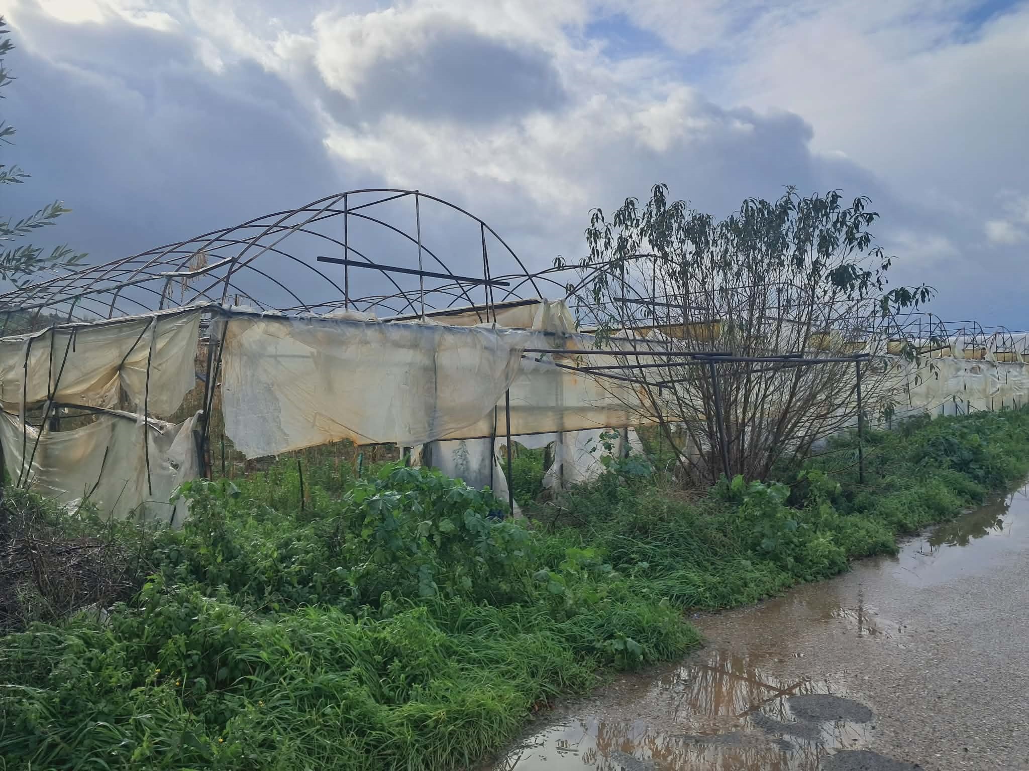 Ηλεία: Καταστροφές σε θερμοκήπια στο Γαννιτσοχώρι – Στήριξη ζητούν οι παραγωγοί