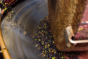 Νέο καινοτόμο μοντέλο για την αξιοποίηση των υποπροϊόντων του ελαιόλαδου