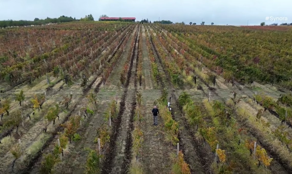 Βόρεια Μακεδονία: Η αρχαία τέχνη του κρασιού μπροστά στις προκλήσεις της νέας εποχής