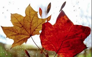 Καιρός: Ισχυροί νοτιάδες και έντονες βροχές, υψηλές θερμοκρασίες έως την Τετάρτη – Πρόγνωση από την Αν. Τυράσκη