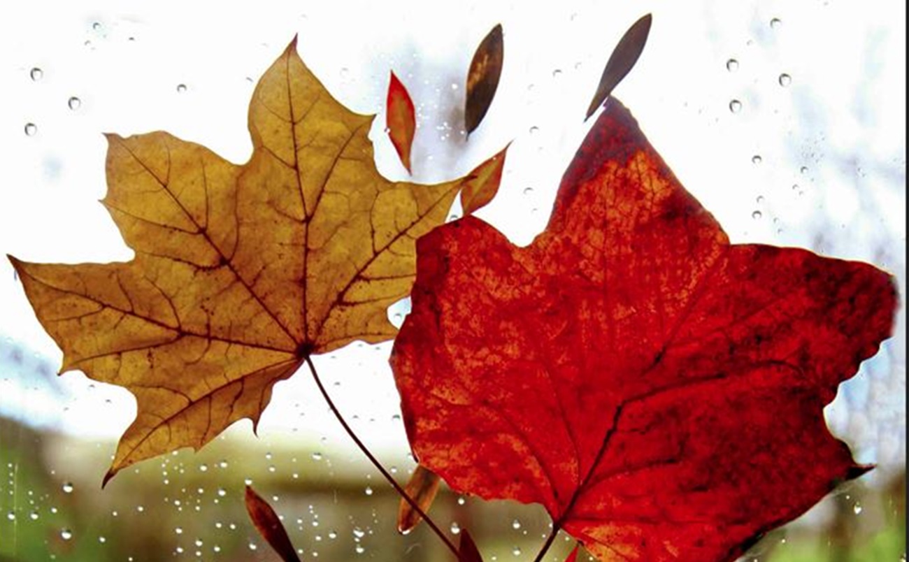 Καιρός: Ισχυροί νοτιάδες και έντονες βροχές, υψηλές θερμοκρασίες έως την Τετάρτη – Πρόγνωση από την Αν. Τυράσκη