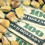 Προσφορά, ζήτηση και τιμές: Οι αγορές ενόψει  WASDE