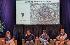 Πως επηρεάζει η κλιματική αλλαγή τον κόσμο του κρασιού από την άμπελο μέχρι το ποτήρι - Winetrails