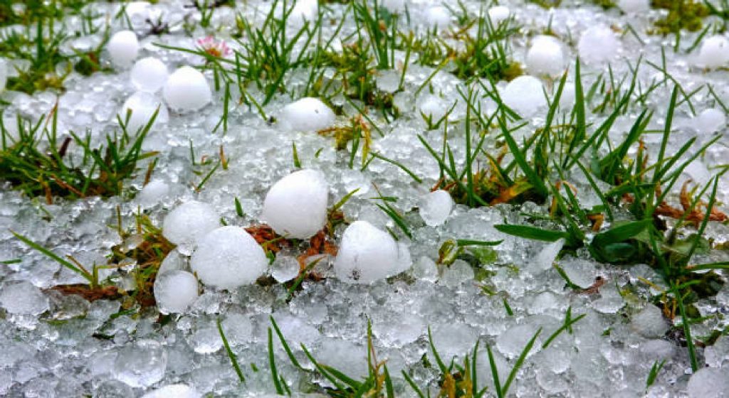 Αρχές Φλεβάρη αναμένεται καταβολή αποζημίωσης για παγετό και χαλάζι - Ποιοι μένουν εκτός • Έλληνας Αγρότης