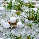 Αρχές Φλεβάρη αναμένεται καταβολή αποζημίωσης για παγετό και χαλάζι - Ποιοι μένουν εκτός • Έλληνας Αγρότης