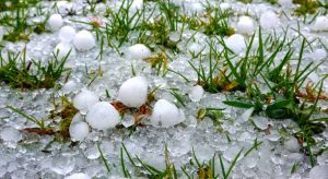 Αρχές Φλεβάρη αναμένεται καταβολή αποζημίωσης για παγετό και χαλάζι - Ποιοι μένουν εκτός • Έλληνας Αγρότης