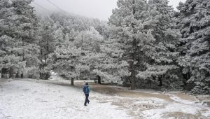 Καιρός: Στους -8 το θερμόμετρο – Πού θα χιονίσει στην Αττική, πρόγνωση από την Αν. Τυράσκη