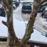 Σε πορτοκαλί συναγερμό η Κρήτη για την κακοκαιρία – Χαλάζι και χιονόνερο το πρωί στο Ηράκλειο