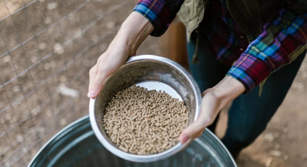 Επανεξέταση οδηγιών για τη διακίνηση ζωοτροφών ζητά η Περιφέρεια Κρήτης • Έλληνας Αγρότης