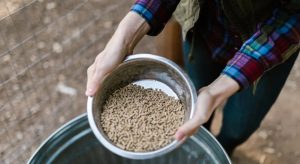 Επανεξέταση οδηγιών για τη διακίνηση ζωοτροφών ζητά η Περιφέρεια Κρήτης • Έλληνας Αγρότης