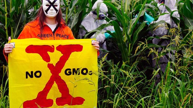 Γενετικά Τροποποιημένα Φυτά (μεταλλαγμένα) έρχονται στο πιάτο μας