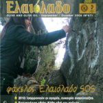 Η Κομισιόν κρούει τον κώδωνα του κινδύνου της εγκατάλειψης για το ελληνικό ελαιόλαδο την επόμενη δεκαετία