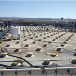 Η παγκόσμια στατιστική της επιτραπέζιας ελιάς