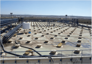 Η παγκόσμια στατιστική της επιτραπέζιας ελιάς