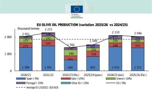 Αγροτικές Ειδήσεις: Μείωση 3% στην παραγωγή ελαιολάδου στην ΕΕ