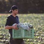 Λήγει εντός Φλεβάρη η προθεσμία ανανέωσης εγγραφής στο ΜΕΝΟ